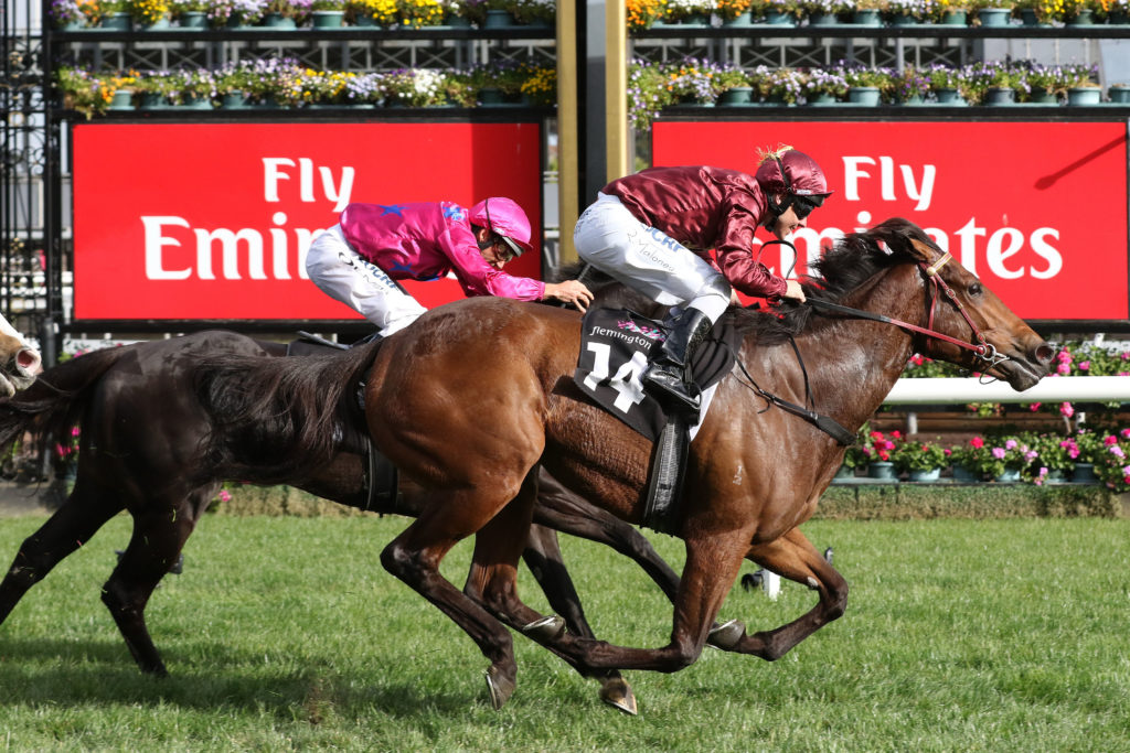 Now Or Later,Blazer Stakes,Group 2_07-10-2017_WIN_Flemington_8__1250 | Just Horse Racing