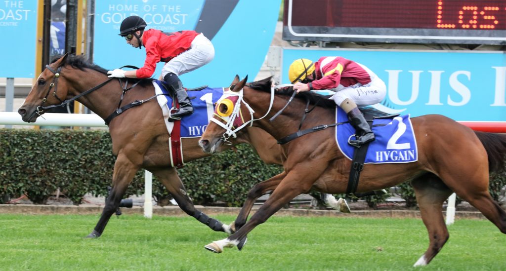 OUTRAGED2 | Just Horse Racing