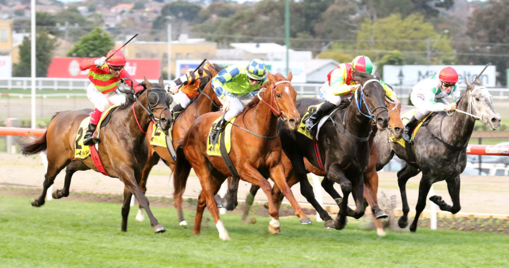 Oak Door_26-08-2017_WIN_Moonee Valley_9__1376 | Just Horse Racing