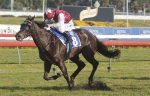 Obsequious-San-Domenico-Stakes