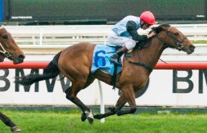 Octavia winning the KS Environmental Cockram Stakes at Caulfield - photo by Race Horse Photos Australia