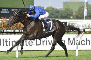 Old North | Just Horse Racing Old North