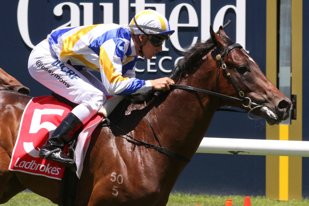 Ollivander_16-12-2017_WIN_Caulfield_1__103 | Just Horse Racing
