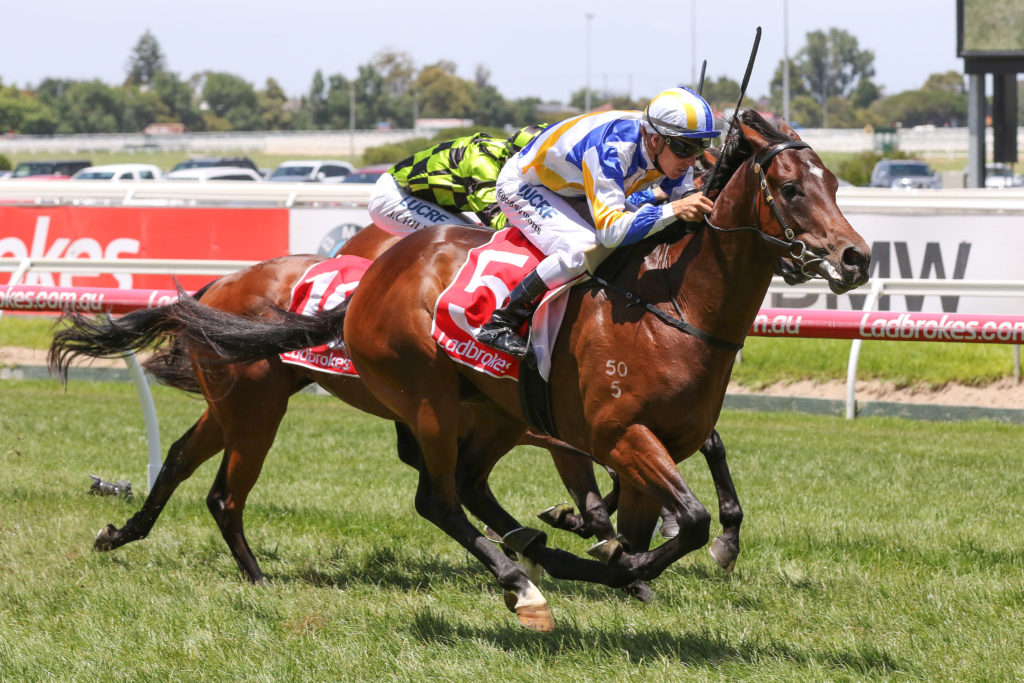Ollivander_16-12-2017_WIN_Caulfield_1__99 | Just Horse Racing