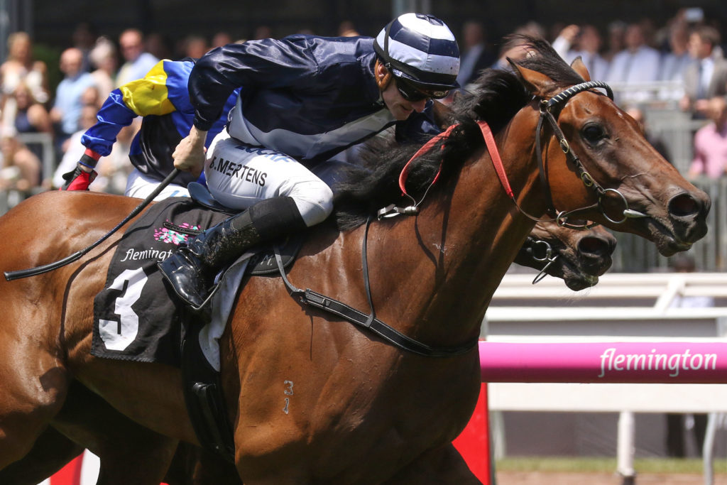Oncidium Ruler_11-11-2017_WIN_Flemington_2__541 | Just Horse Racing