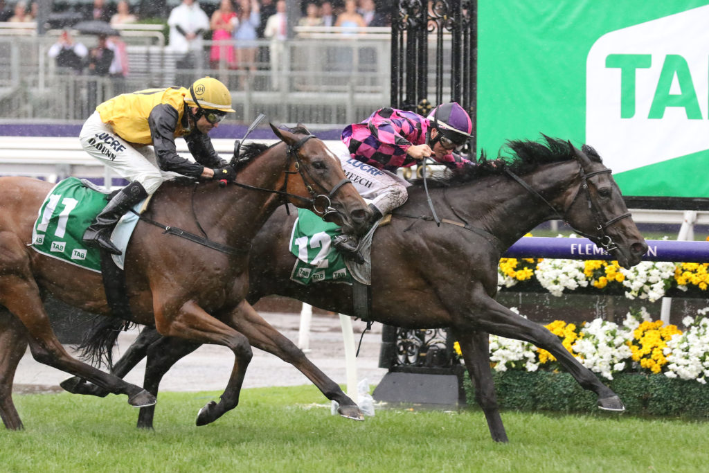 One More Try_06-11-2018_WIN_Flemington_2__214 | Just Horse Racing