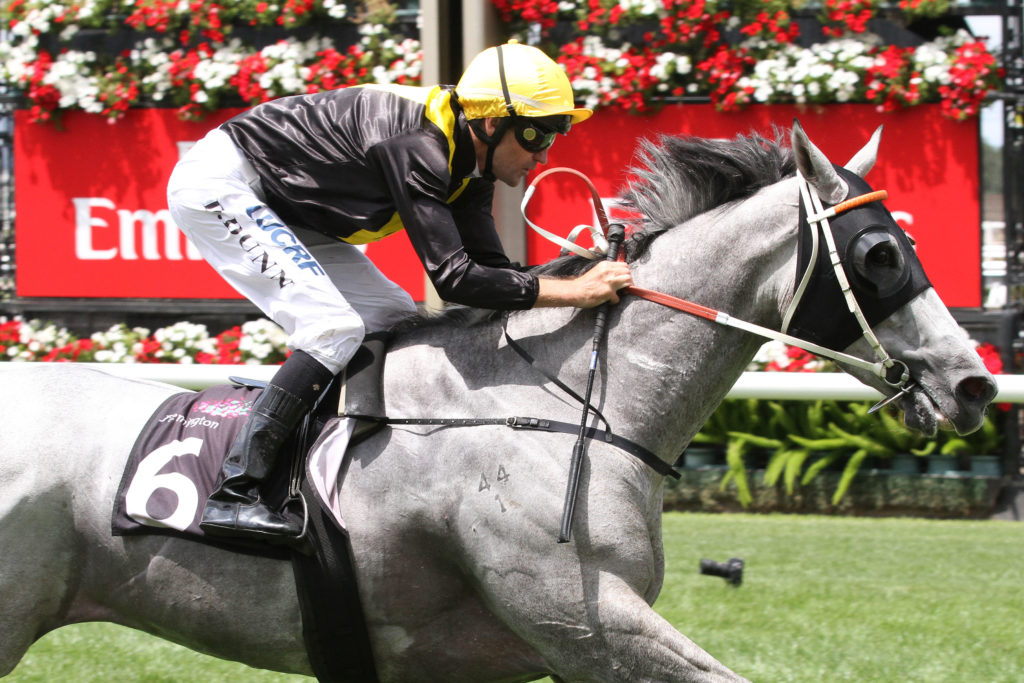 Onerous_30-01-2016_WIN_Flemington_2__1169 | Just Horse Racing