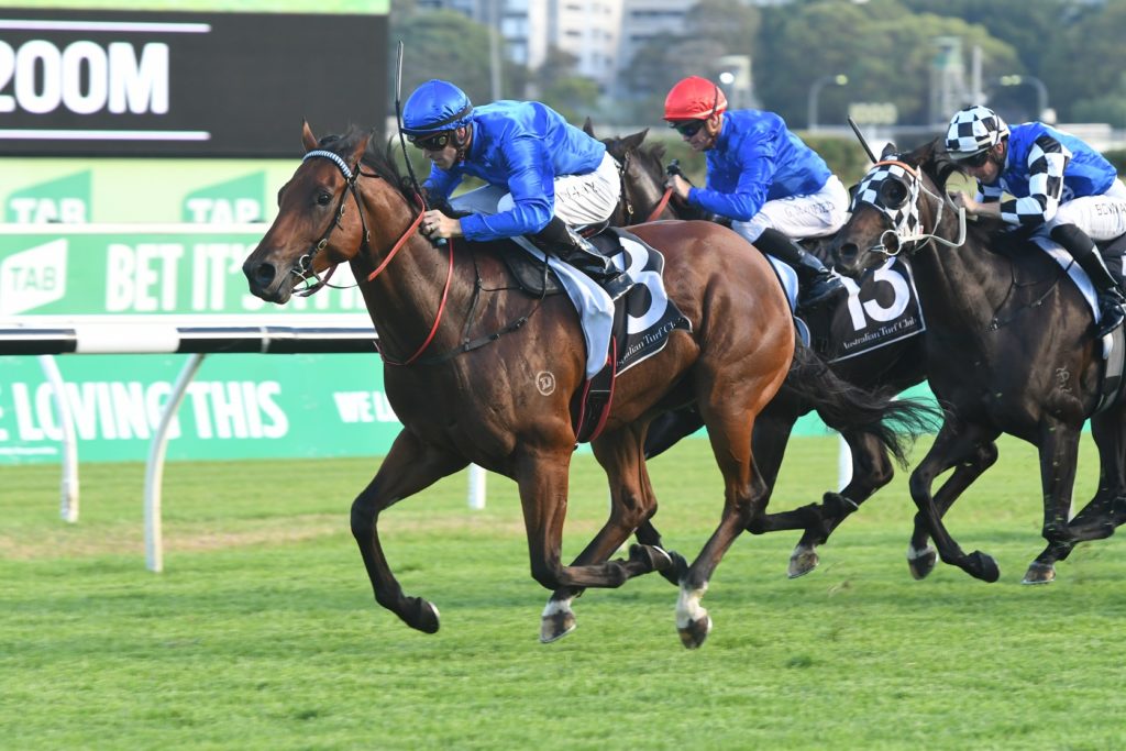 Osborne Bulls 030318 9424 | Just Horse Racing