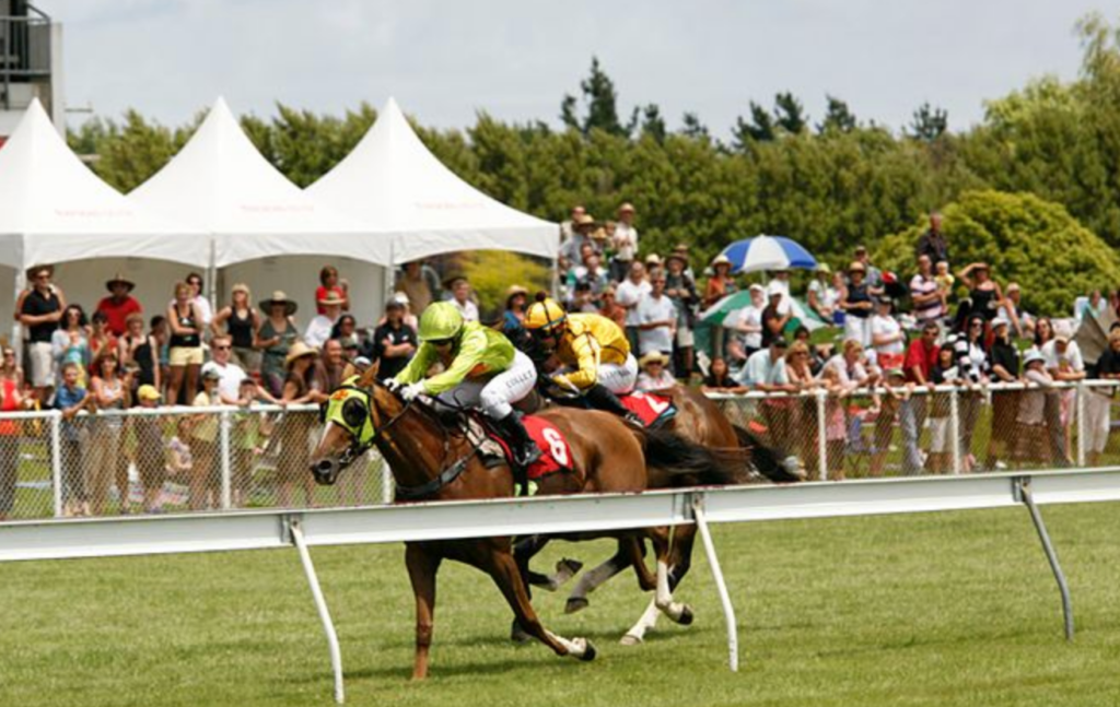 Otaki Races | Just Horse Racing