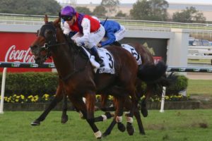 Our Ivanhowe - Doomben Cup | Just Horse Racing Our Ivanhowe