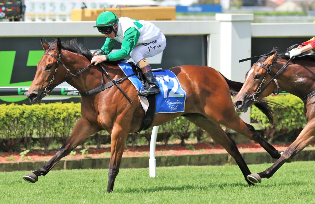 Outback Barbie (4) | Just Horse Racing