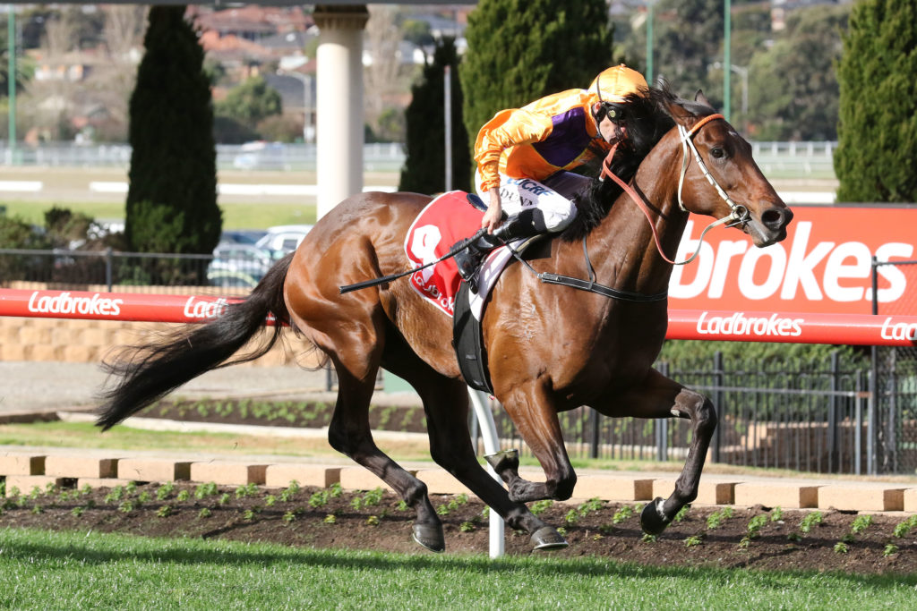 Overshare_26-08-2017_WIN_Moonee Valley_6__855 | Just Horse Racing