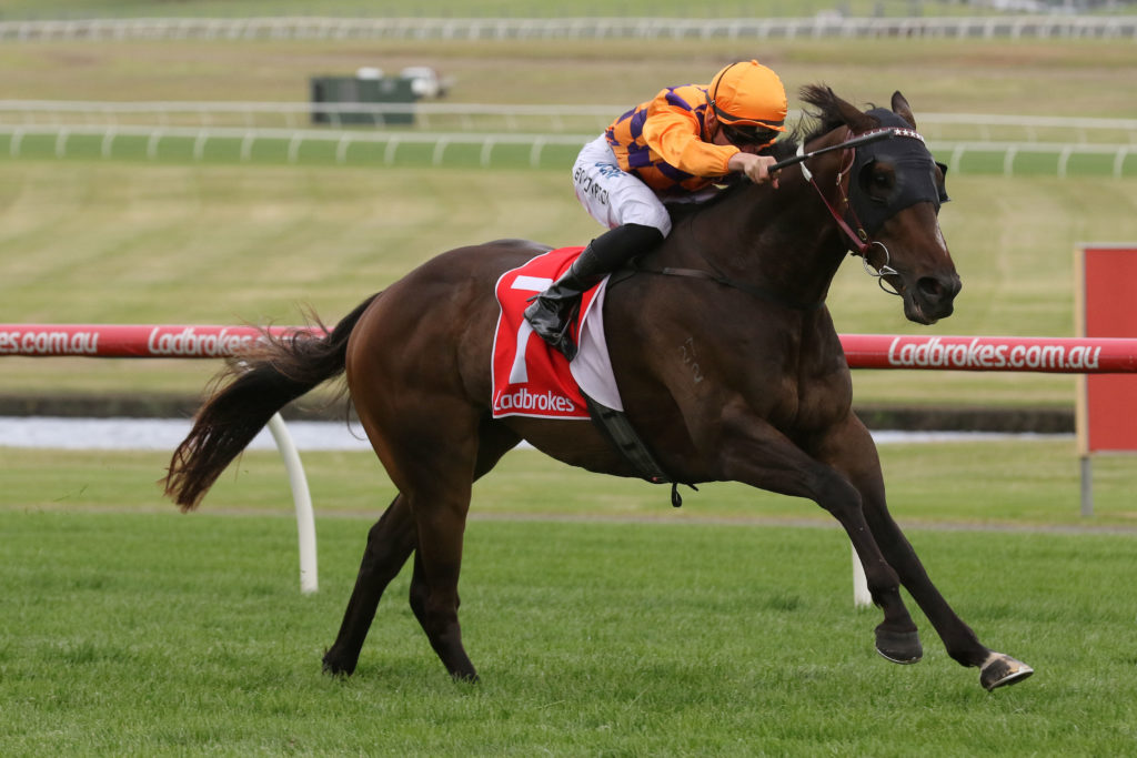 Ozi Choice_30-12-2017_WIN_Sandown_6__1234 | Just Horse Racing