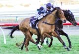 Pago Rock winning the All Victorian Sprint Series Heat 8 at Flemington - photo by Race Horse Photos Australia