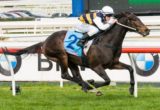 Pakal winning the Legacy 2013 Badge Appeal Handicap at Caulfield - photo by Race Horse Photos Australia