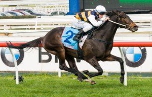 Caulfield Raceday | Just Horse Racing Pakal winning the Legacy 2013 Badge Appeal Handicap at Caulfield - photo by Race Horse Photos Australia