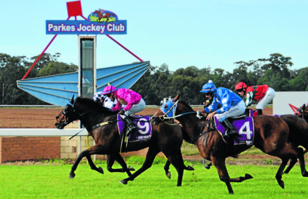 19/5/2024 Horse Racing Tips and Best Bets – Parkes, Parkes Cup day