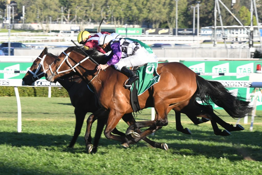 Patrick Erin 290918 8111 | Just Horse Racing
