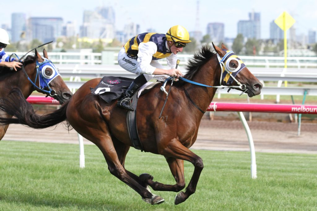Pemberley_30-01-2016_WIN_Flemington_9__1154 | Just Horse Racing