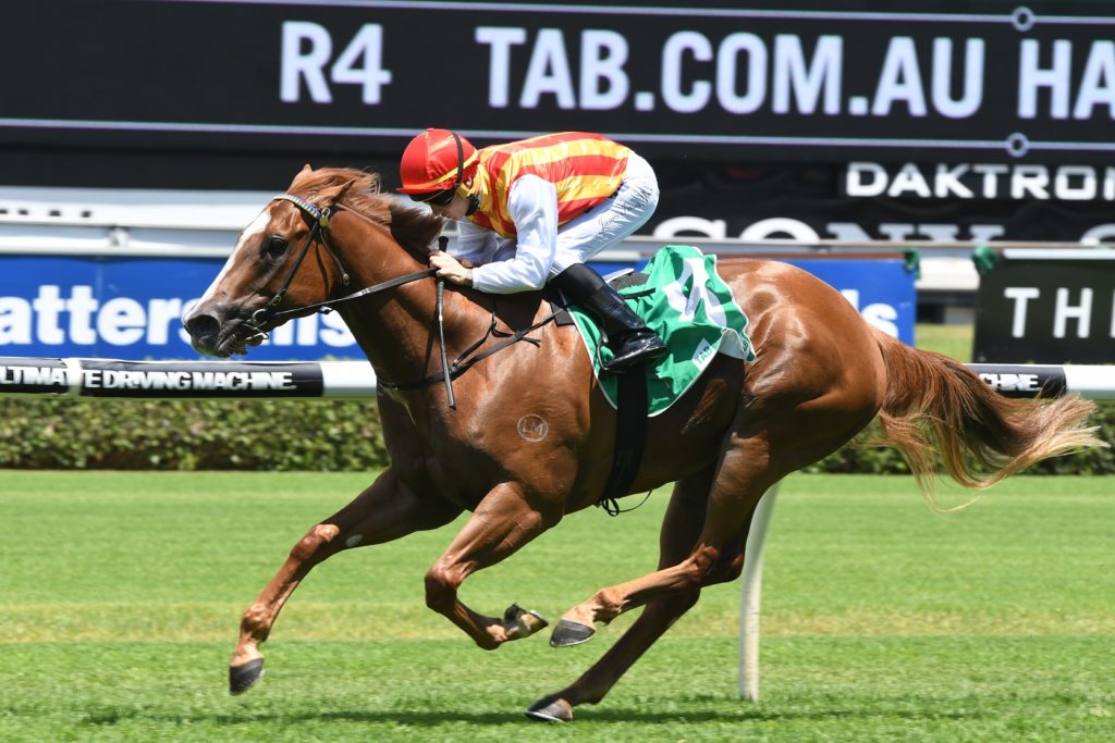 Pendeloque 301217 4180 | Just Horse Racing