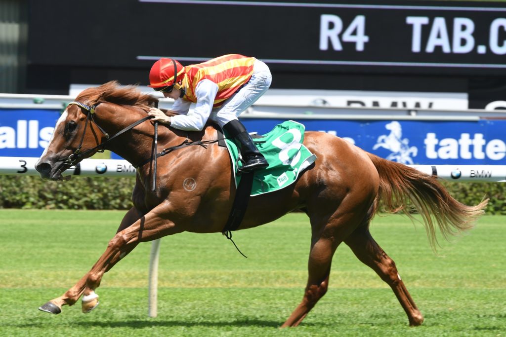 Pendeloque 301217 4181 | Just Horse Racing