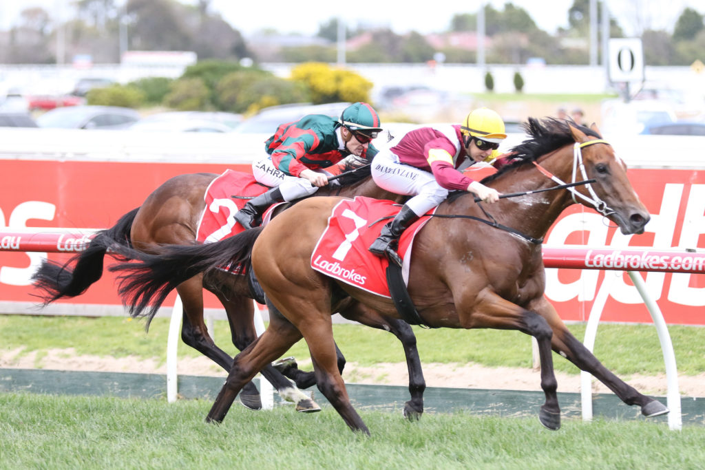 Perast,Caulfield Guineas Prelude,Group 3_01-10-2017_WIN_Caulfield_6__944 | Just Horse Racing