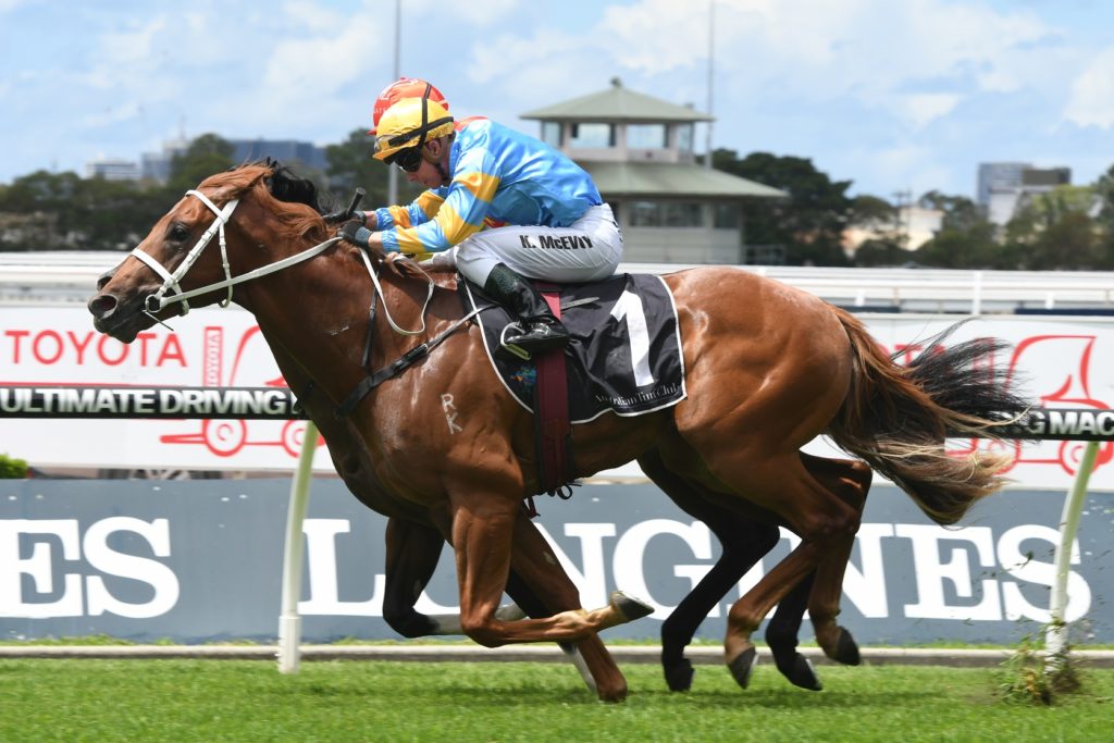 Performer 030218 2687 | Just Horse Racing