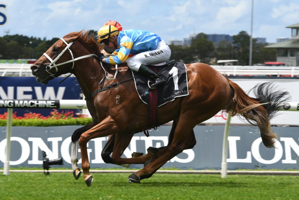 Performer 030218 2688 | Just Horse Racing