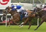 Permit (Blake Shinn, outside, blue cap) wins the Tattersalls Club Cup (Listed) at Randwick on January 1, 2014 - photo by Martin King / Sportpix