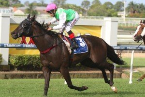 Phelan Ready - Luke Tarrant | Just Horse Racing Phelan Ready - Luke Tarrant