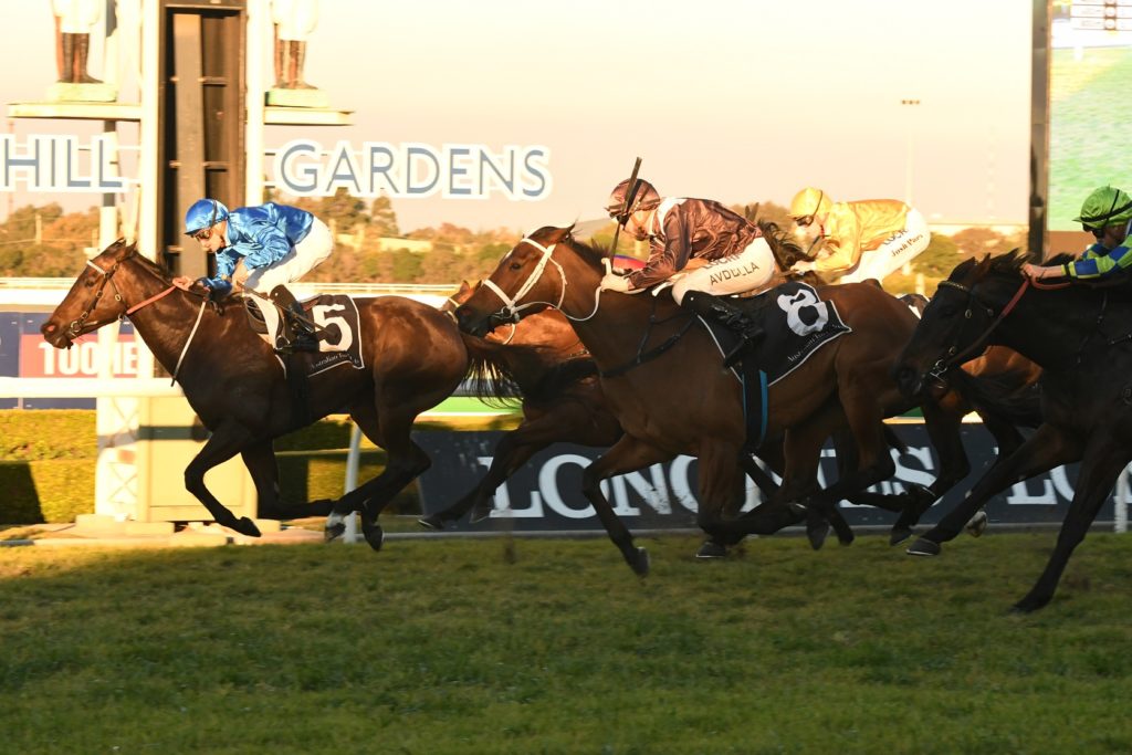 Philosophy 290717 2467 (1) | Just Horse Racing