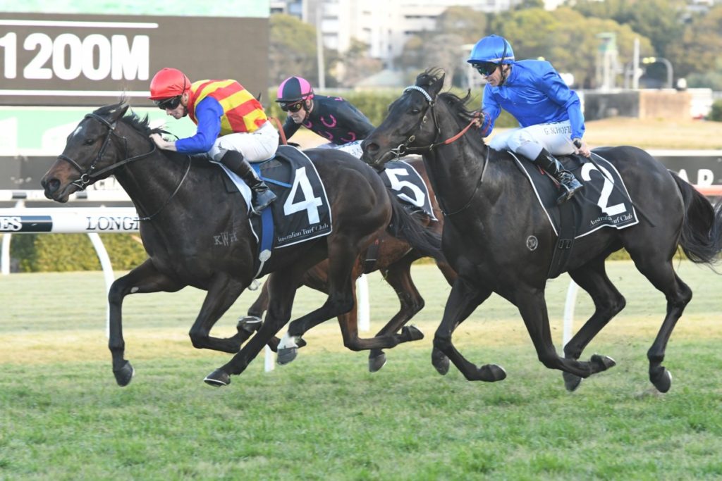 Pierata 040818 3474 | Just Horse Racing