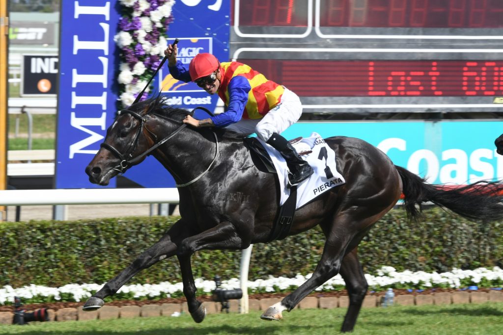 Pierata 130118 7914 | Just Horse Racing