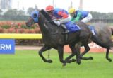 Pierro winning the 2012 Silver Slipper Stakes at Rosehill racecourse