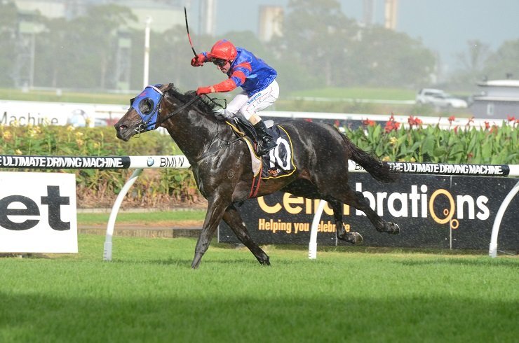 Pierro 230313 9932 | Just Horse Racing