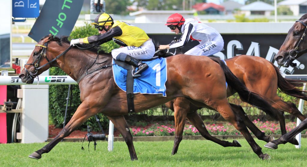 Pinch River (2) | Just Horse Racing