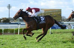 Pinwheel winning the 2011 Warwick Stakes - Photo by Steve Hart