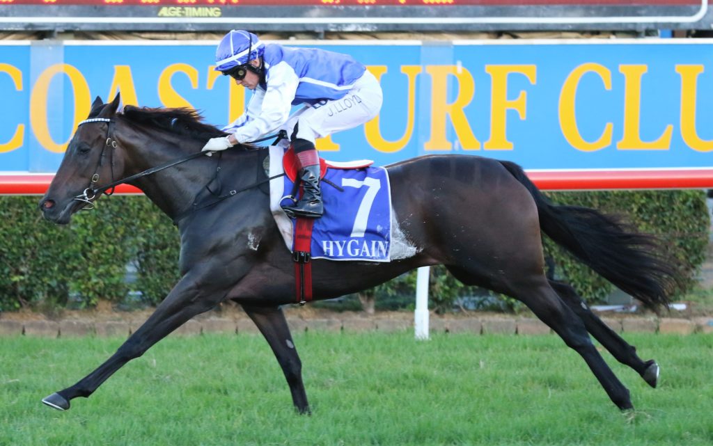 Plucky Girl (1) | Just Horse Racing