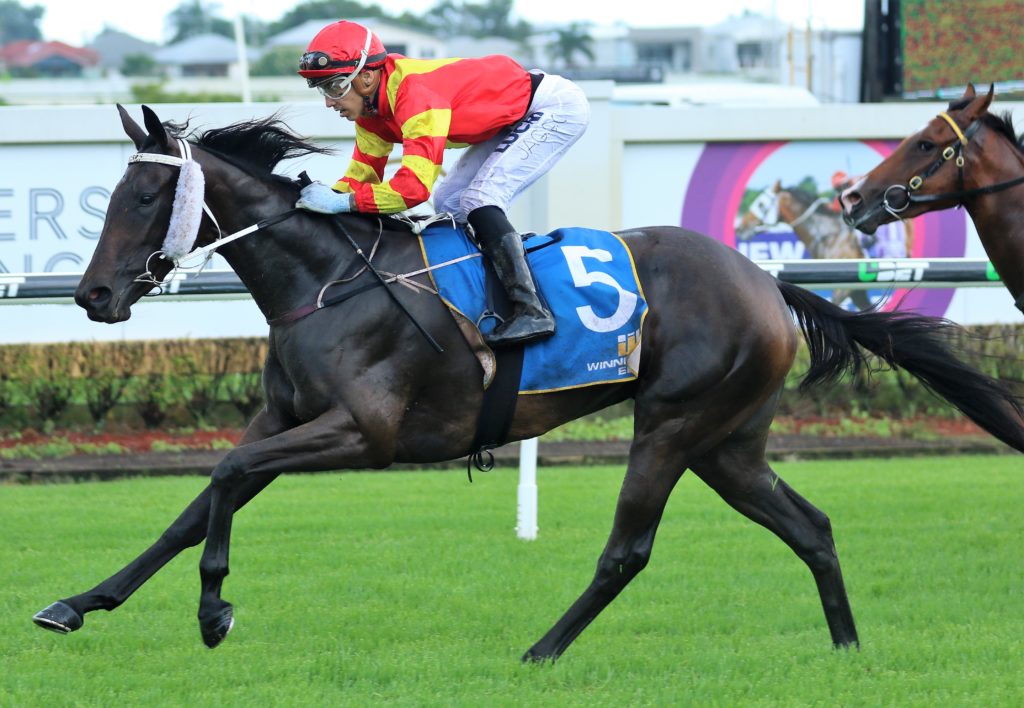 Plumaro (2) | Just Horse Racing