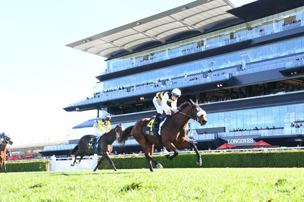 Plymouth Road 230618 7678 | Just Horse Racing