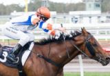 Pocket Rocket winning the Robert Eldridge & Lesley Millson Handicap at Flemington - photo by Race Horse Photos Australia