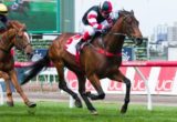 Polanski winning the UCI Stakes at Flemington - photo by Race Horse Photos Australia