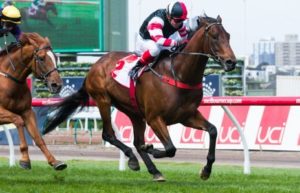 Polanski winning the UCI Stakes at Flemington - photo by Race Horse Photos Australia