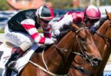 Polanski winning the Norman Robinson Stakes at Caulfield - photo by Race Horse Photos Australia