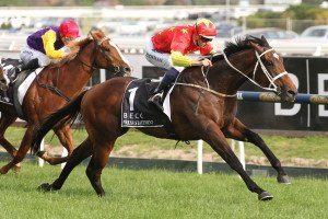 Press Statement, Caulfield Guineas