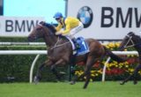 Pride Of Dubai - Inglis Sires Produce Stakes