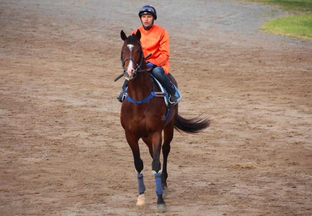 Prince Of Caviar | Just Horse Racing