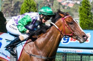 Prince Of Penzance winning the Sportingbet Best Tote Plus Handicap at Moonee Valley ridden by Michelle 