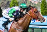 Prince Of Penzance winning the Sportingbet Best Tote Plus Handicap at Moonee Valley ridden by Michelle