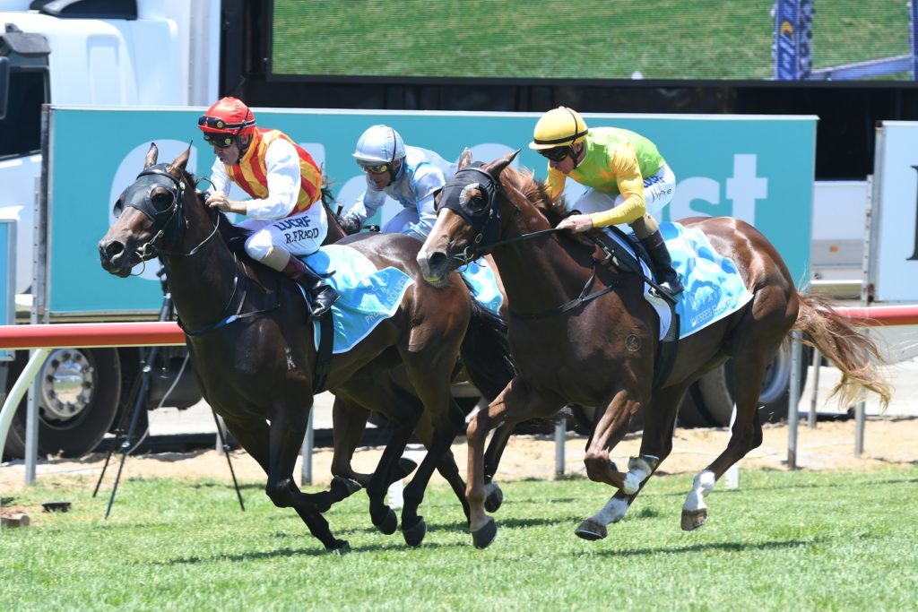 Problem Solver 130118 7065 | Just Horse Racing